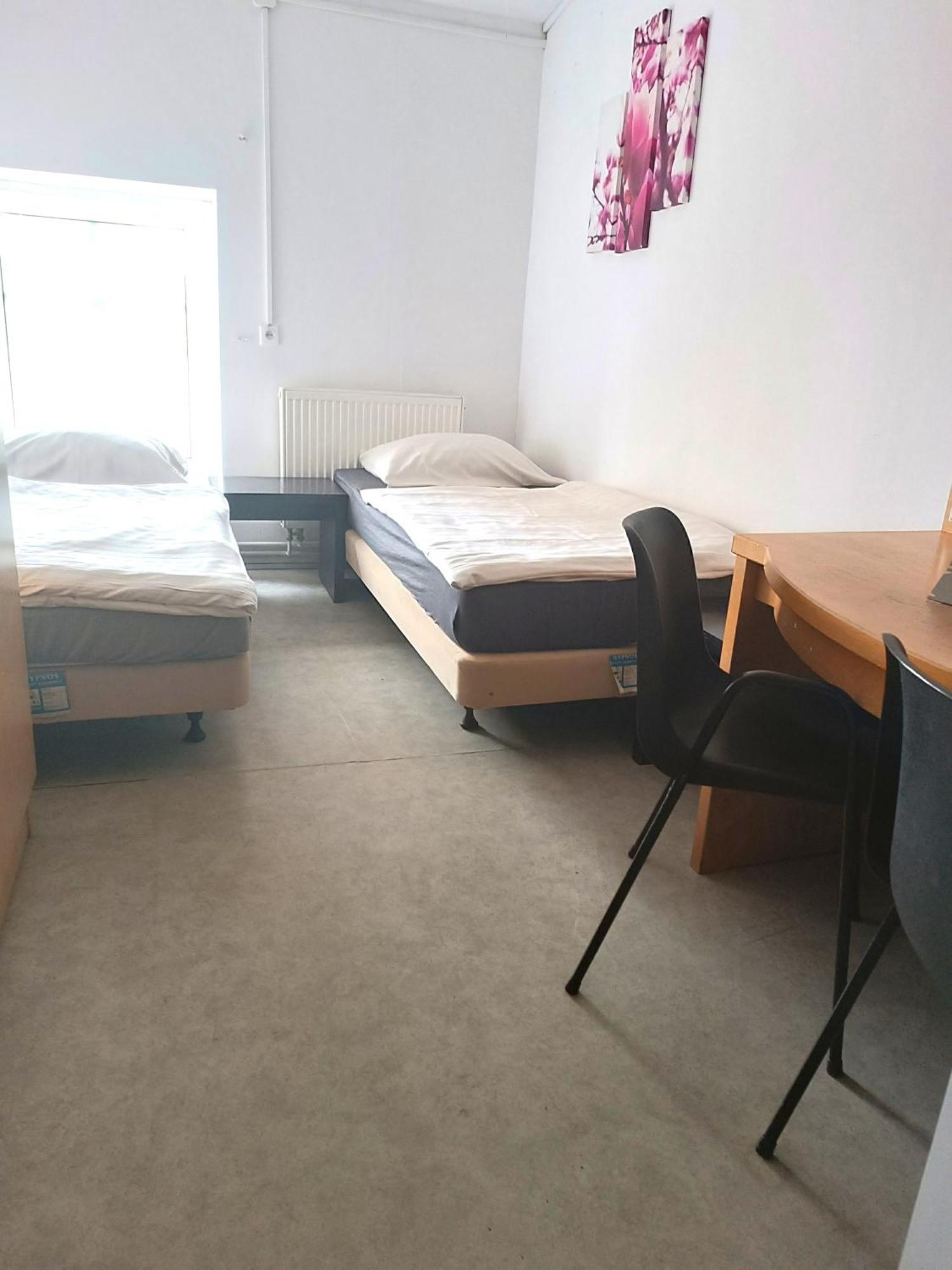 Hostel Krosnienska 12 지엘로나구라 외부 사진
